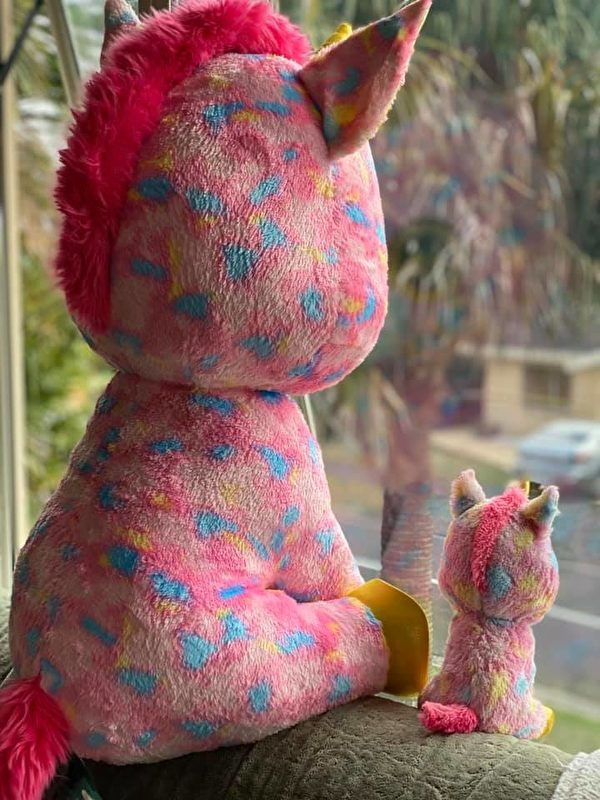 「今天還有沒有小朋友打這過了?」,「來了,來了,在那兒呢。」