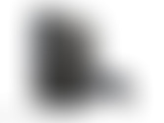 Last of Us II Limited Edition PlayStation 4 Pro Bundle Released!