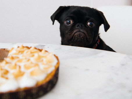 Pies and Pets!