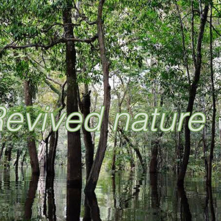 Revived nature〜よみがえる自然〜