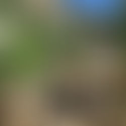 Life Lessons I Learned on Trail...