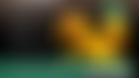 Get a year subscription of the Birds of the World website at a discount