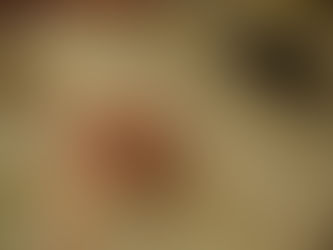 El meu gran amic el llibre (Català)