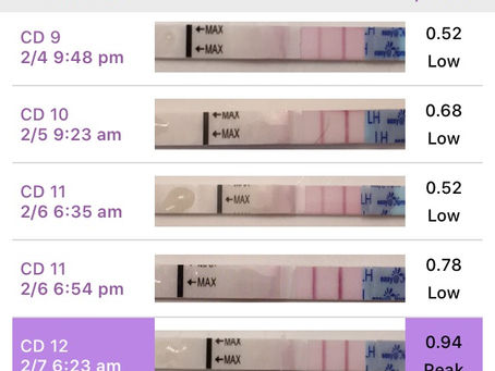 AMH and Maternal Age