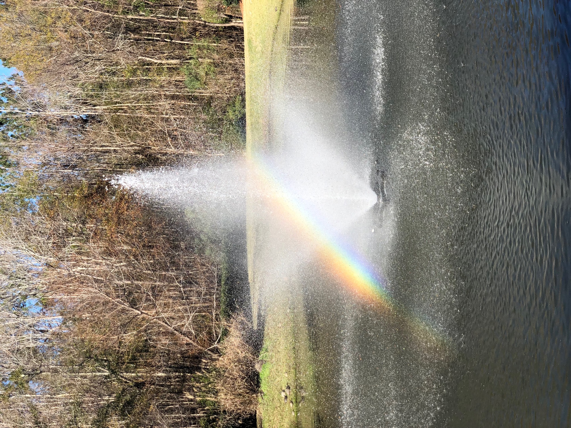 RR 🌈 content media