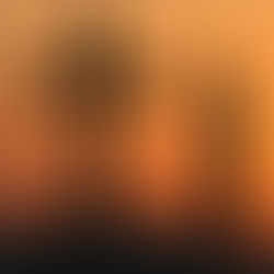 Preventing radicalisation in school