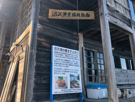 「不要不急の外出」