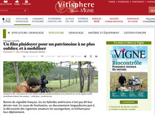 Vitisphère - A advocacy film for a heritage to no longer forget, and to mobilize.