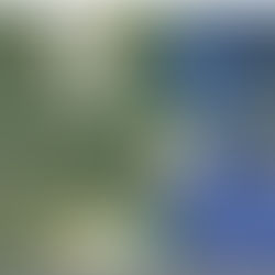 LE GRANDI IDEE DELLA PORTUALITA’ A TRAZIONE SETTENTRIONALE: IL VOOPS