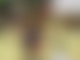 MS Science & Engineering Week 1