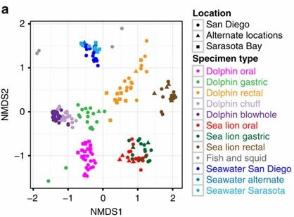 Dealing with Multidimensional datasets- Non-metric Multidimensional Scaling (NMDS)