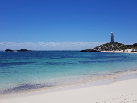 Sun, Sand, Surf and Quokkas!
