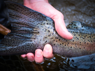 The Fishing Gear You Need For 2018