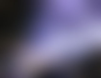 夜桜 Cherry Blossoms in the night.