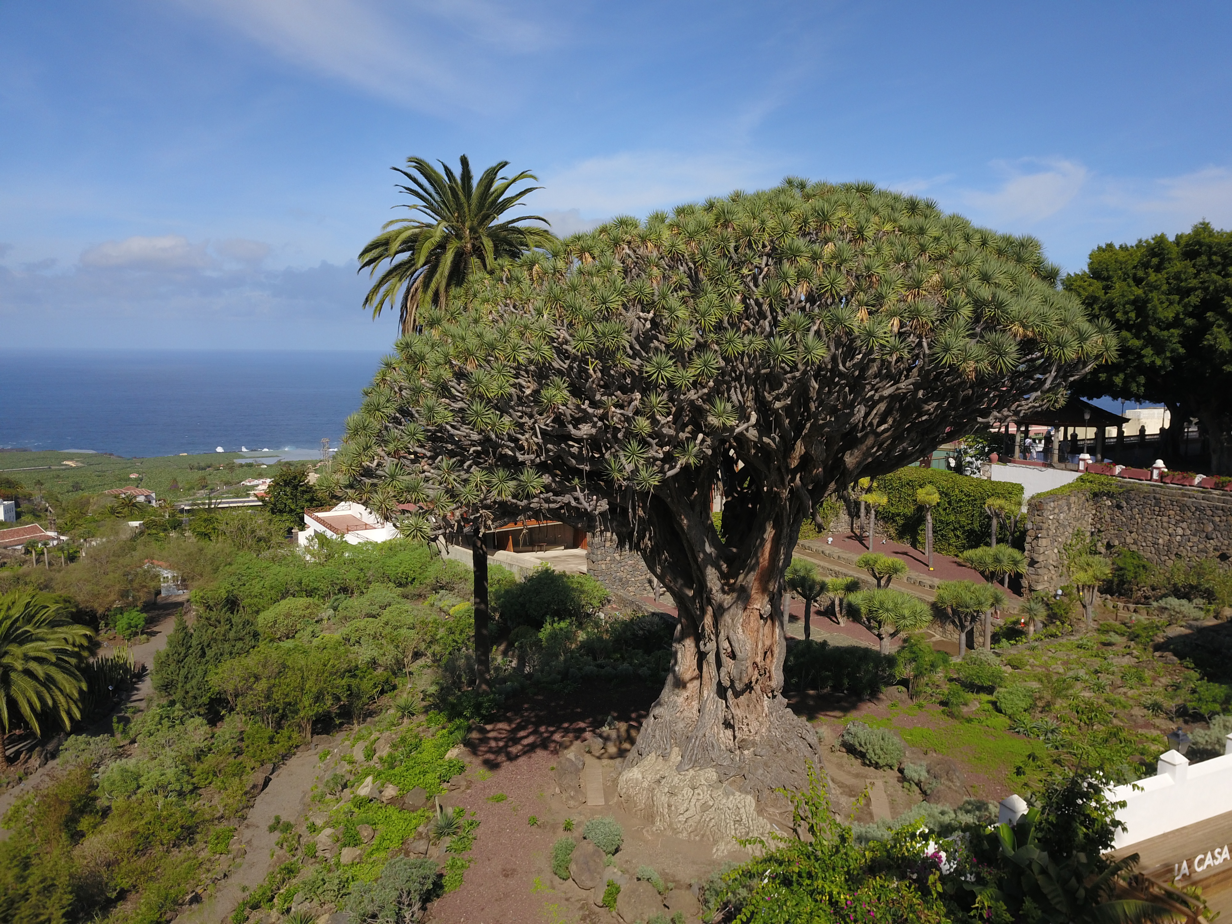 Parque del Drago 360˚ content media
