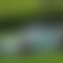 New Sponsorship Interest Leads to Keating Second Entry for Laguna Seca Round