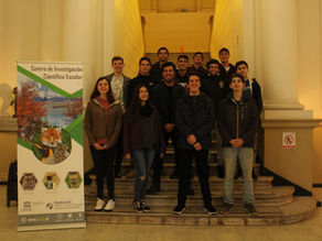 Reunión Equipo CICE