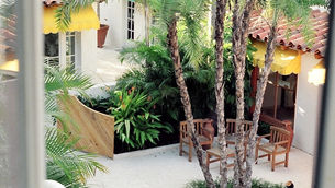 Transformed: Living & Working In A Palm Beach Via