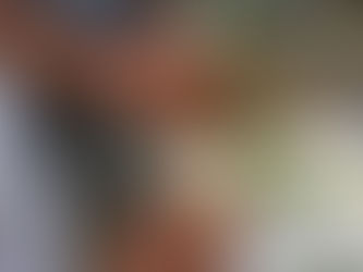 Científicos buscan hallar variedades de café con características superiores
