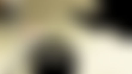 TISANA FOR THE IMMUNOLOGICAL SYSTEM