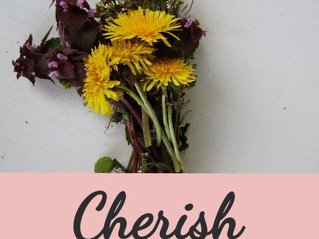 Cherish Average Moments