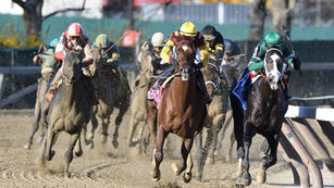 Historical Belmont Dosage