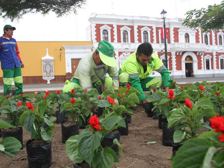 Trujillo siembra plantas ornamentales para recuperar su plaza de Armas
