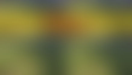 Video errs, says PH gold reserves are world’s 2nd biggest