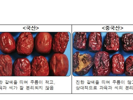설 차례상에 올릴 농산물은 신토불이로~