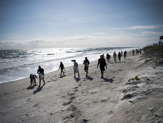 DIY Beach Cleanup