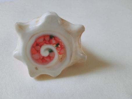 Mi anillo de concha de caracol y aprender a leer los tiempos en las dificultades.