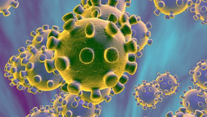 What Do You Know About Coronavirus?