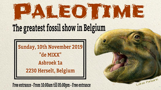 PALEOTIME 2019 content media