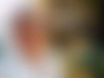 ‘Cien años de soledad’ llegaría a Netflix en el 2020