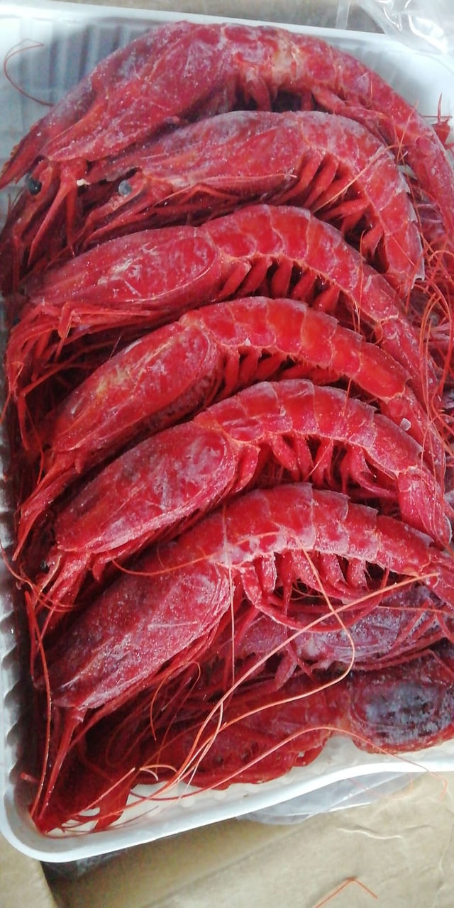 Gambero rosso congelato