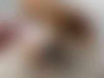 Kya Pup Applauds Early Voting !!!