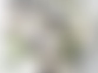 🌿澳洲sukin✨100%天然活膚成分✨陪你渡過換季期🎃快參加萬聖拿折扣🎃國際運輸就找PAPAK呀