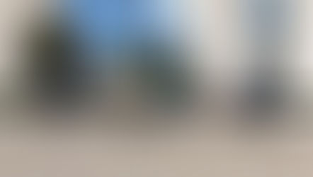 RECO, se une a la conmemoración del día de la bandera.