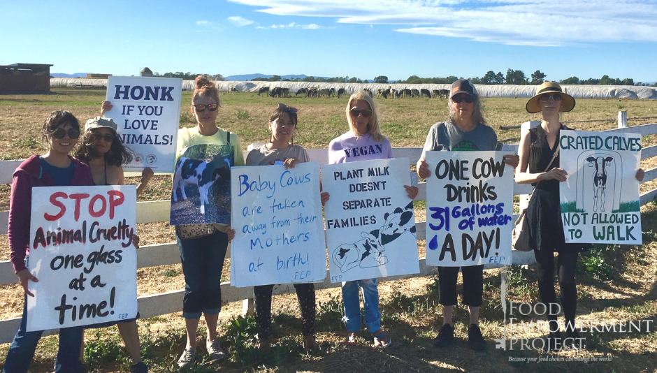 A group of people holding signs at an anti-dairy protest