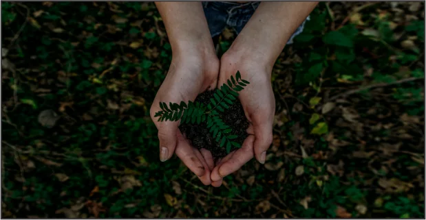 The Biggest Question – Why Recycling Matters? content media