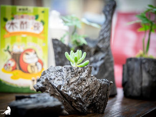 感受內心的寧靜-木酢達人炭盆DIY