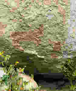 Pericúes or Guaycura rabbit rock art