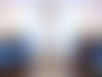 P.N. REALIZA ALBORADA.