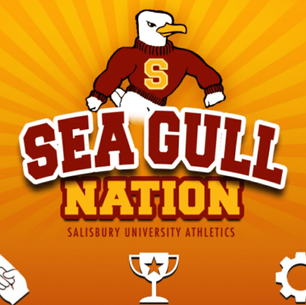 SU student-athletes play key role in growing Sea Gull Nation app