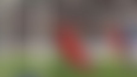 ANTEVISÃO: SL Benfica x B Sad