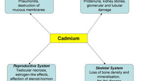 Is the Suicide? Is a Murder?