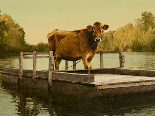 First Cow film review
