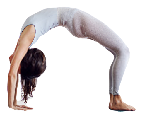 Upward Bow (Wheel) Pose