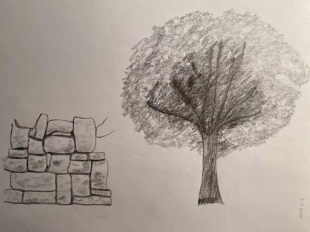 Mein erster Baum mit Mauer content media