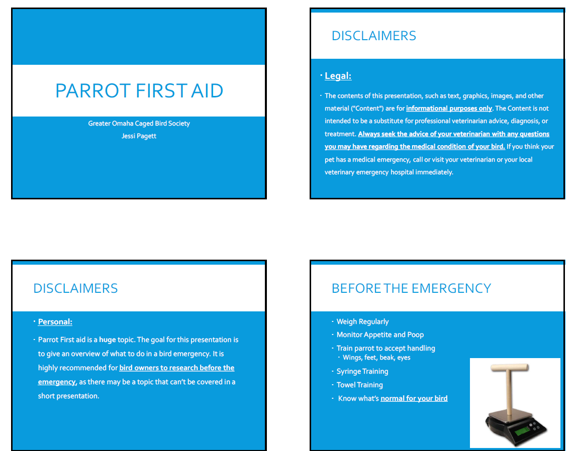 Parrot First Aid content media